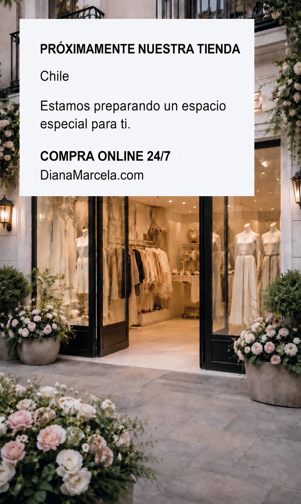 Próximamente nuestra tienda en Chile. Estamos preparando un espacio especial para ti. Compra online en DianaMarcela.com.